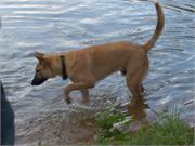 Was ist denn da unter Wasser